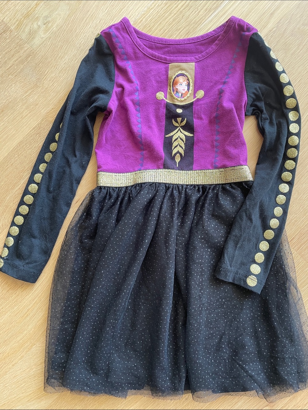 Disney Purple and Black Princess Tulle Dress with Gold Accents